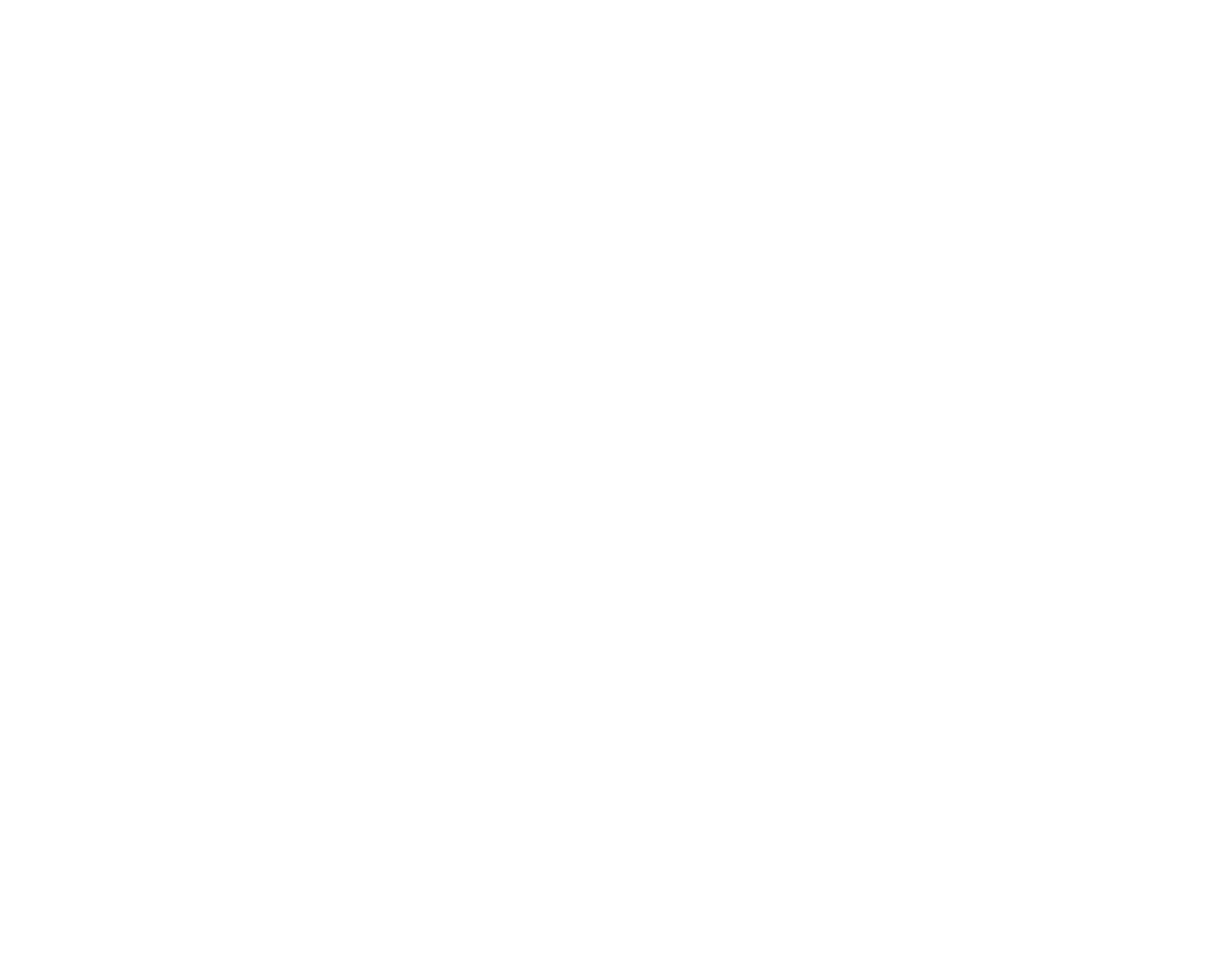 T-Socks white logo