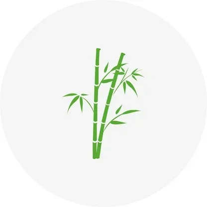 Bamboo