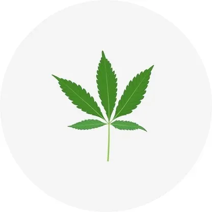 Hemp