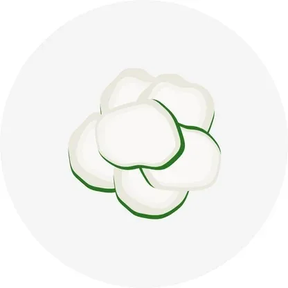 Organic Cotton